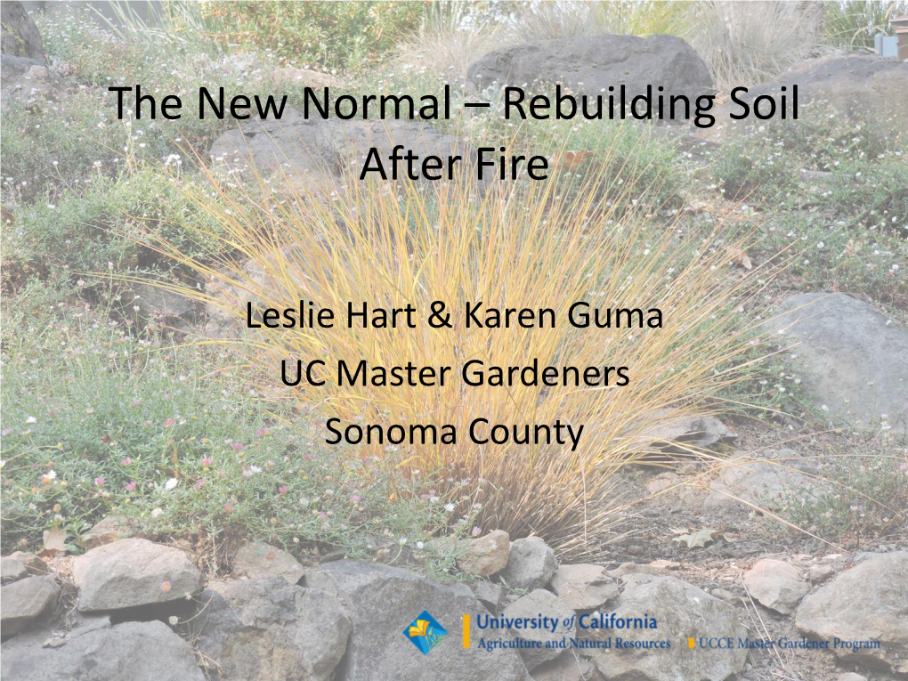 Rebuilding Soil After a Fire