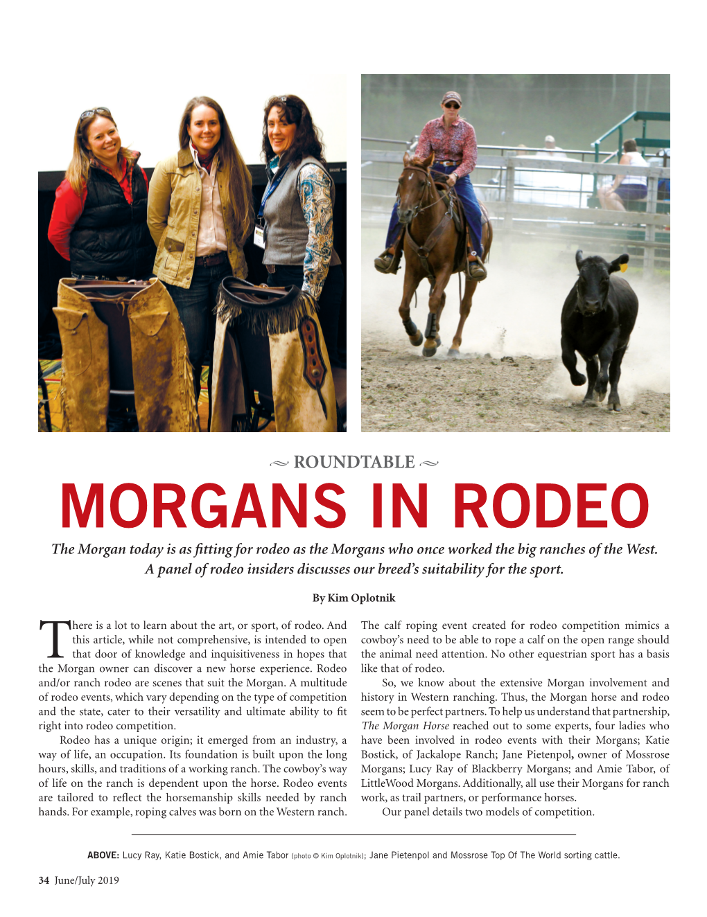 MORGANS in RODEO the Morgan Today Is As Fitting for Rodeo As the Morgans Who Once Worked the Big Ranches of the West