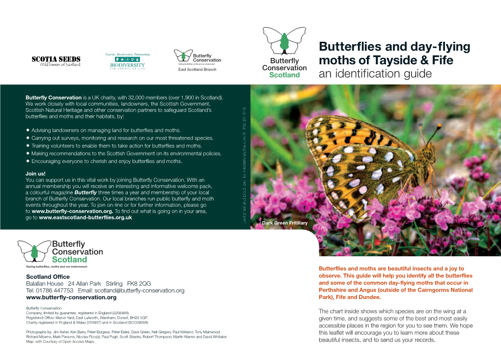 Butterflies and Day-Flying Moths of Tayside & Fife