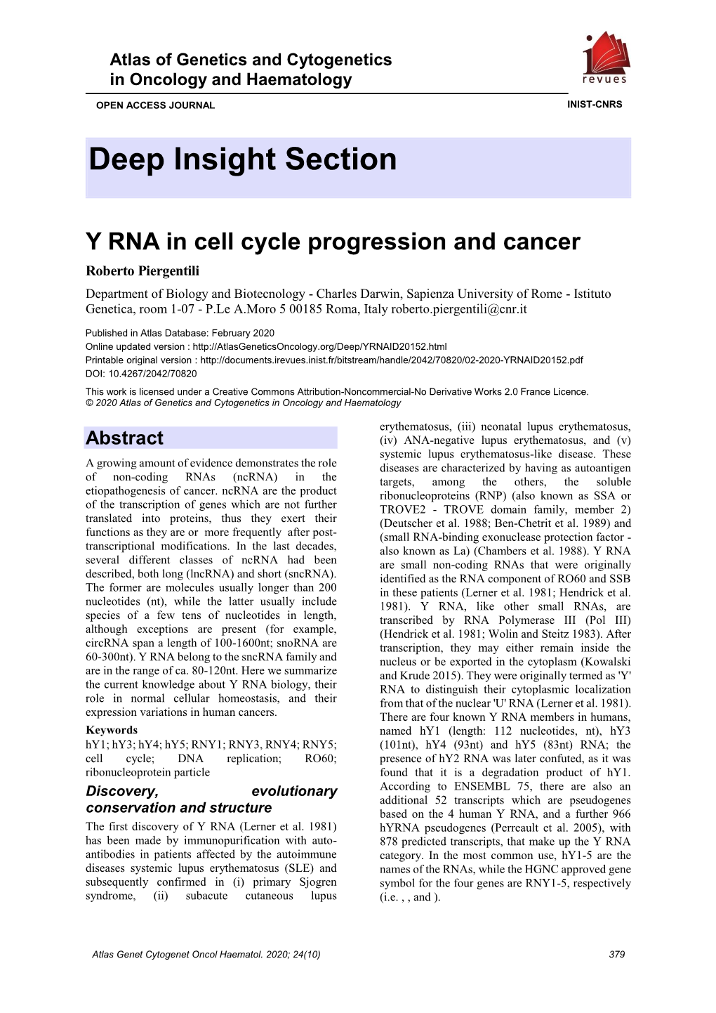 Y RNA in Cell Cycle Progression and Cancer