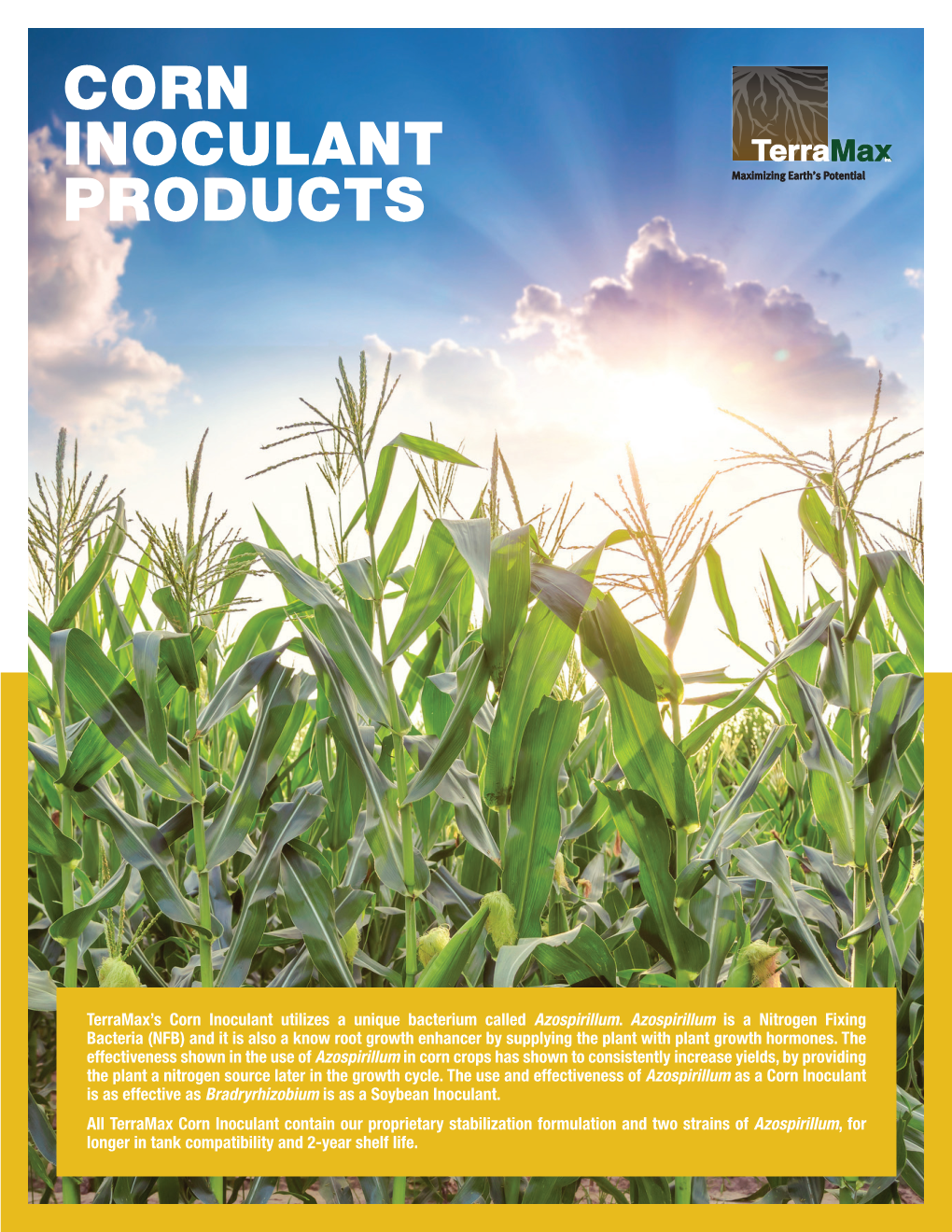 Corn Inoculant Products