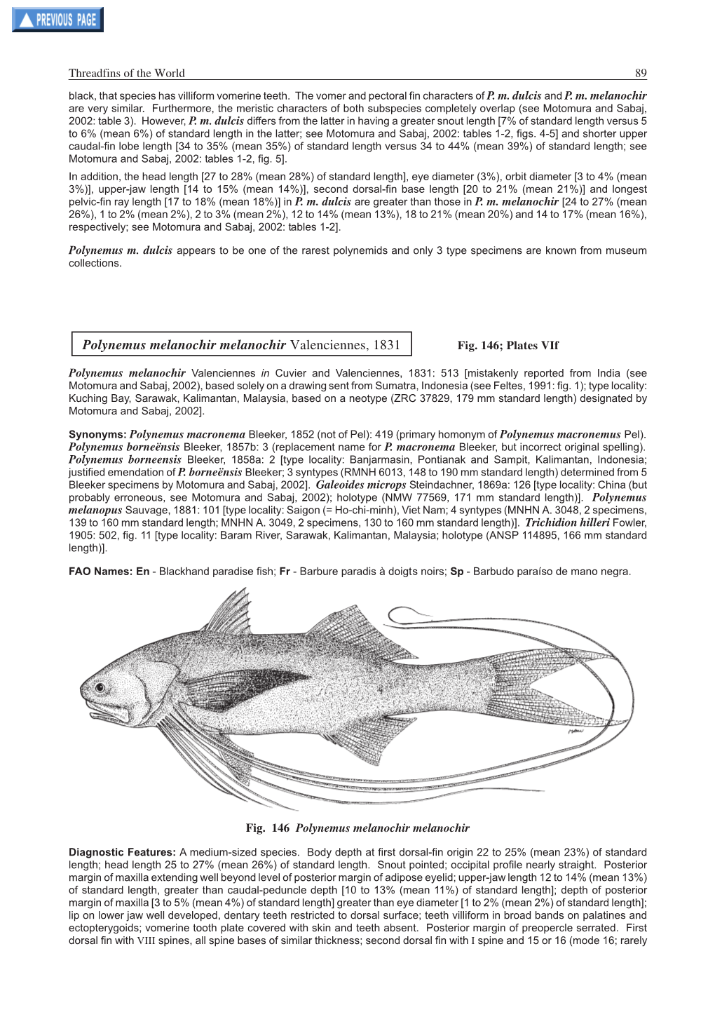 Polynemus Melanochir Melanochir Valenciennes, 1831 Fig