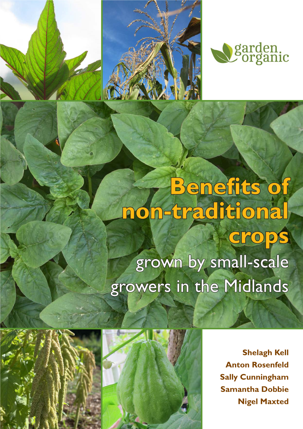 Benefits of Non-Traditional Crops Grown by Small-Scale Growers in the Midlands