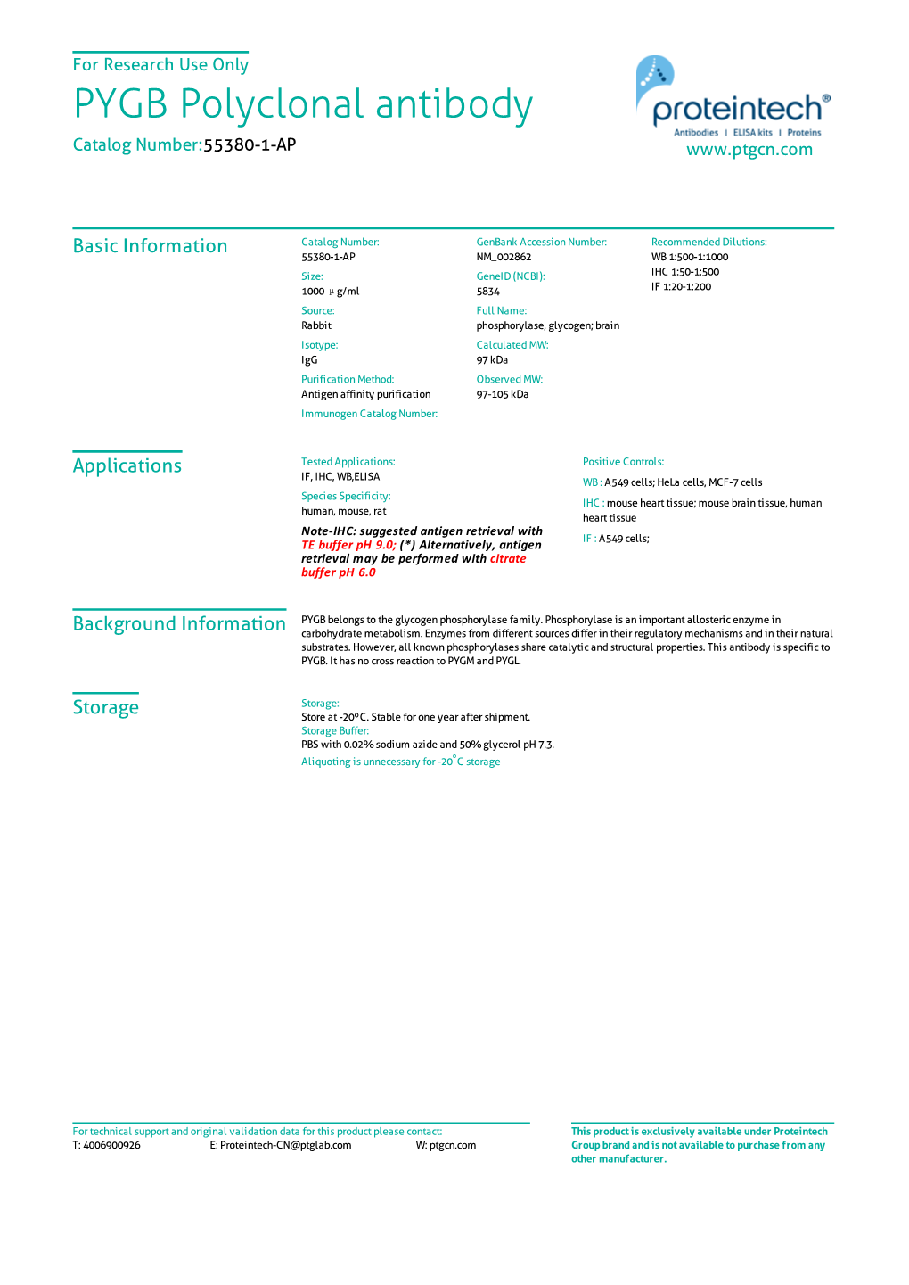 PYGB Polyclonal Antibody