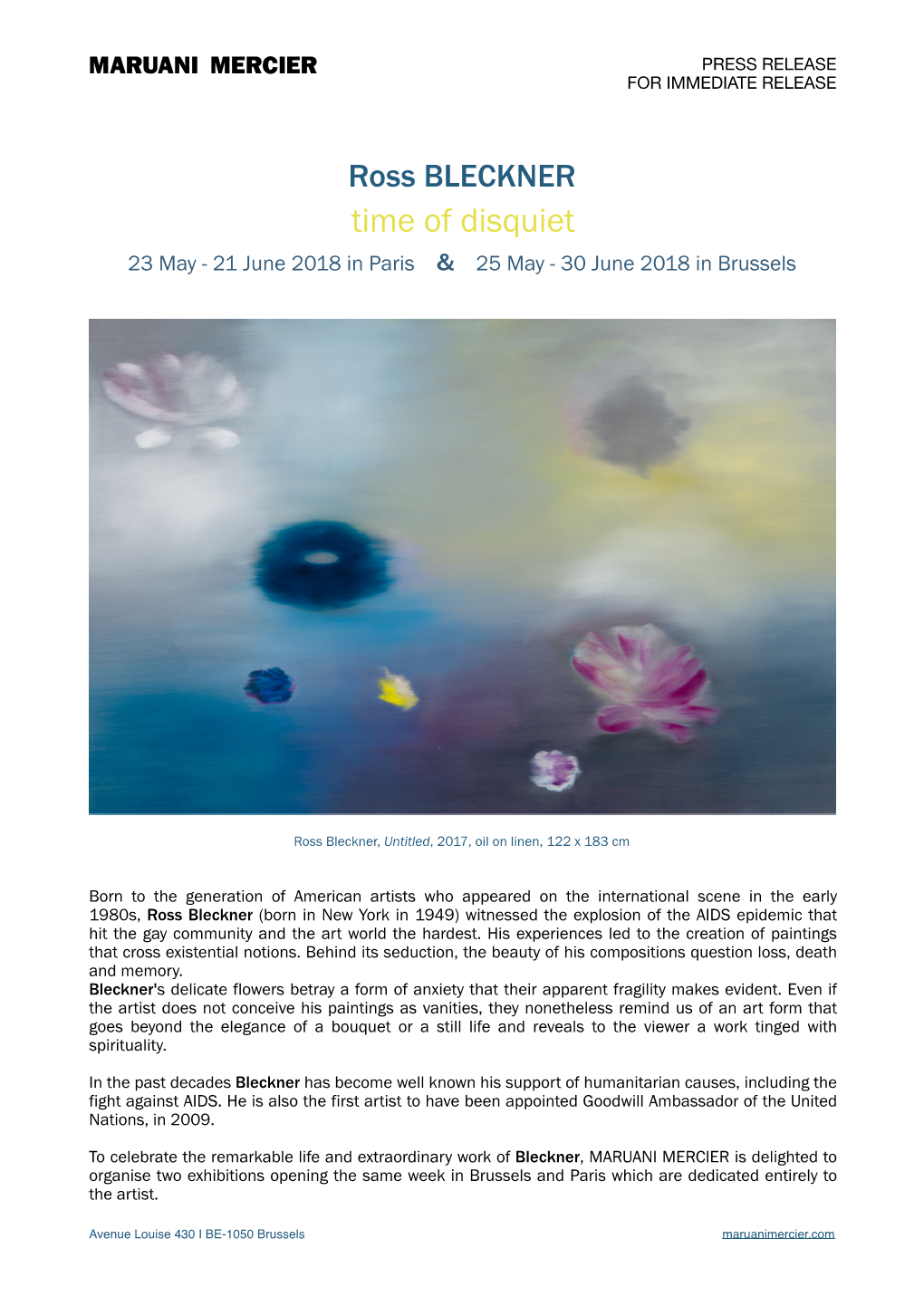 Dossier De Presse Ross Bleckner