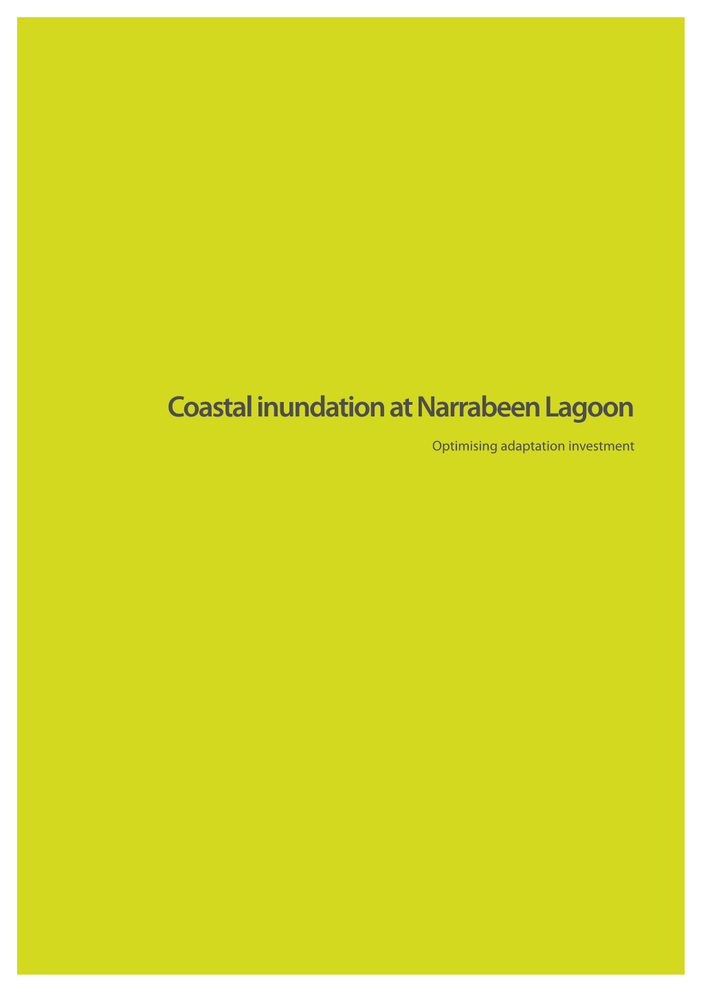 Coastal Inundation at Narrabeen Lagoon—Optimising Adaptation