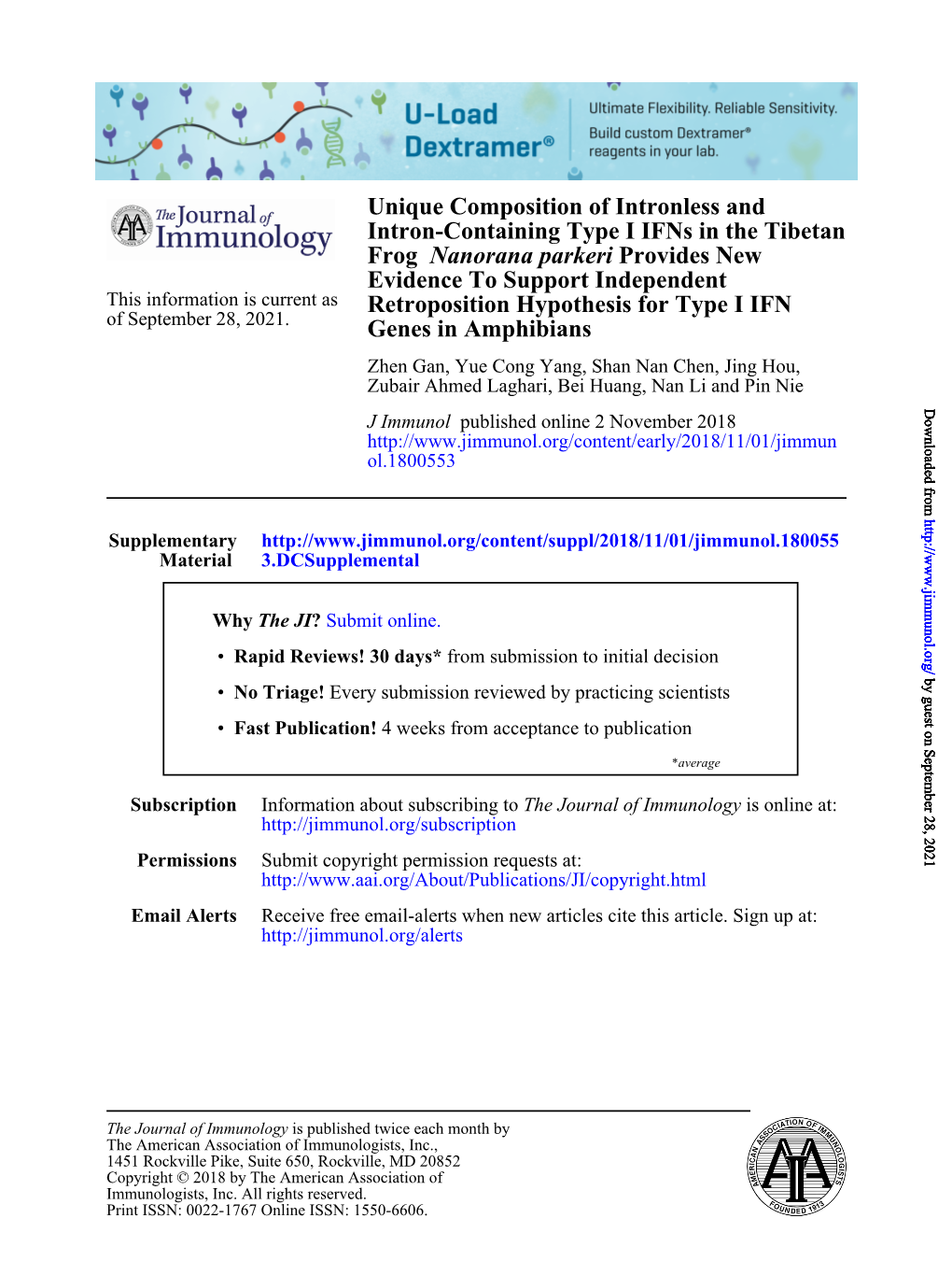 Unique Composition of Intronless and Intron-Containing Type I Ifns in The