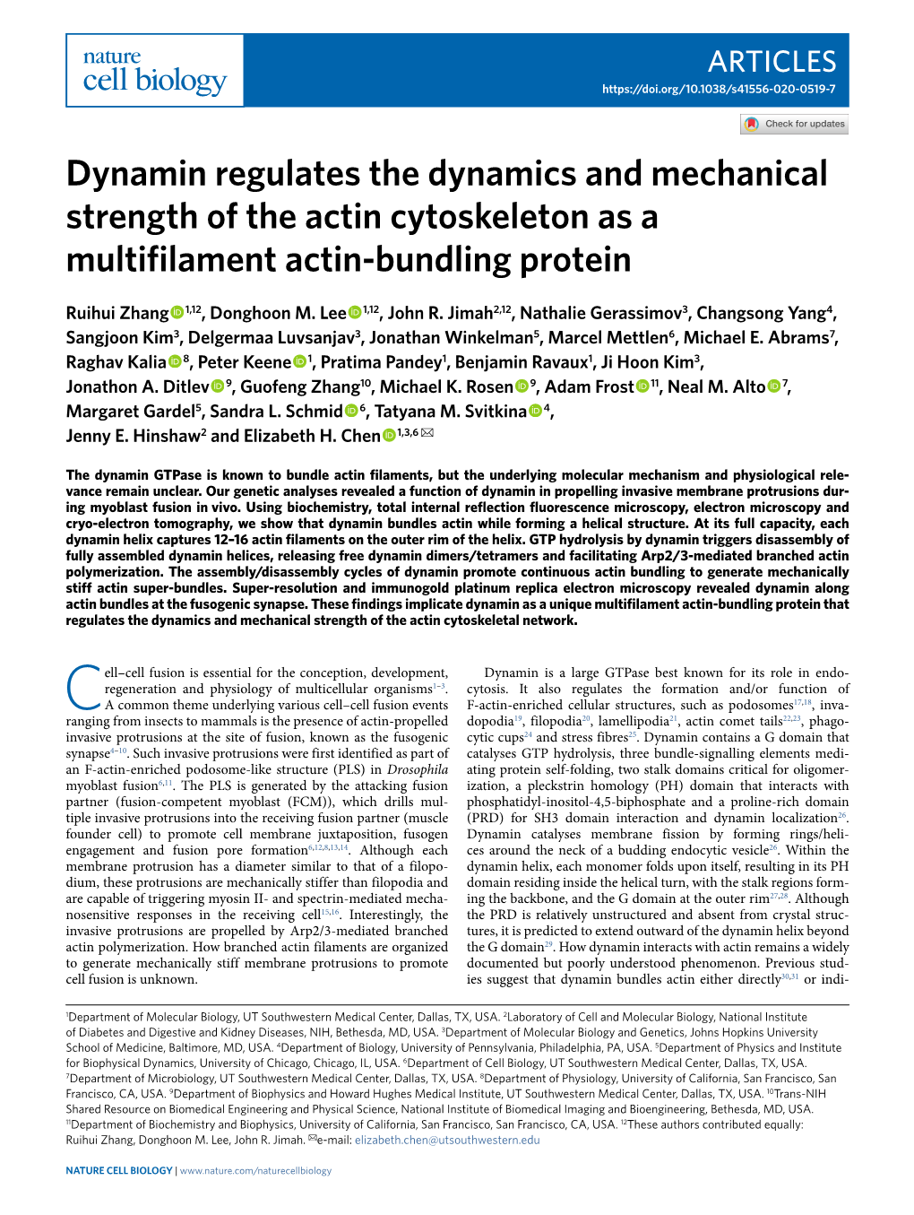 Dynamin Regulates the Dynamics and Mechanical Strength of the Actin Cytoskeleton As a Multifilament Actin-Bundling Protein