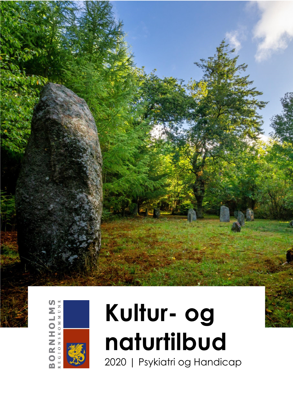 Katalog Til Psykiatri Og Handicap (PDF)