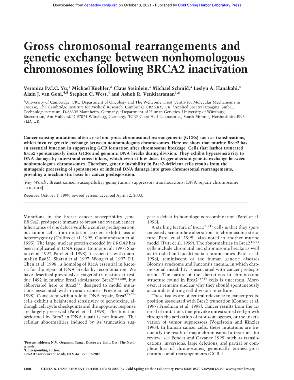 Gross Chromosomal Rearrangements and Genetic Exchange Between Nonhomologous Chromosomes Following BRCA2 Inactivation