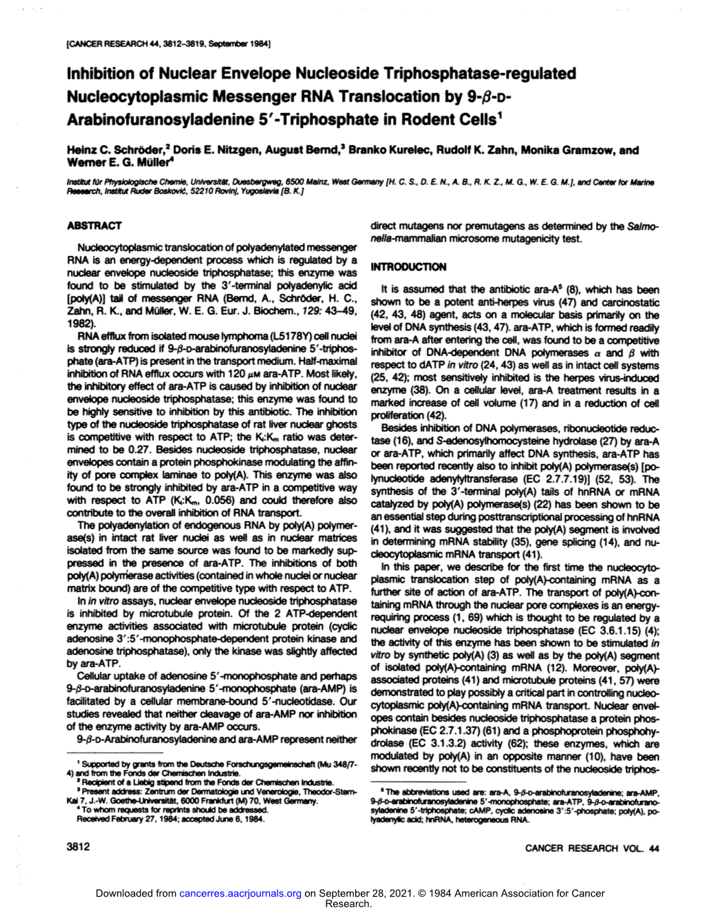 Inhibition of Nuclear Envelope Nucleoside