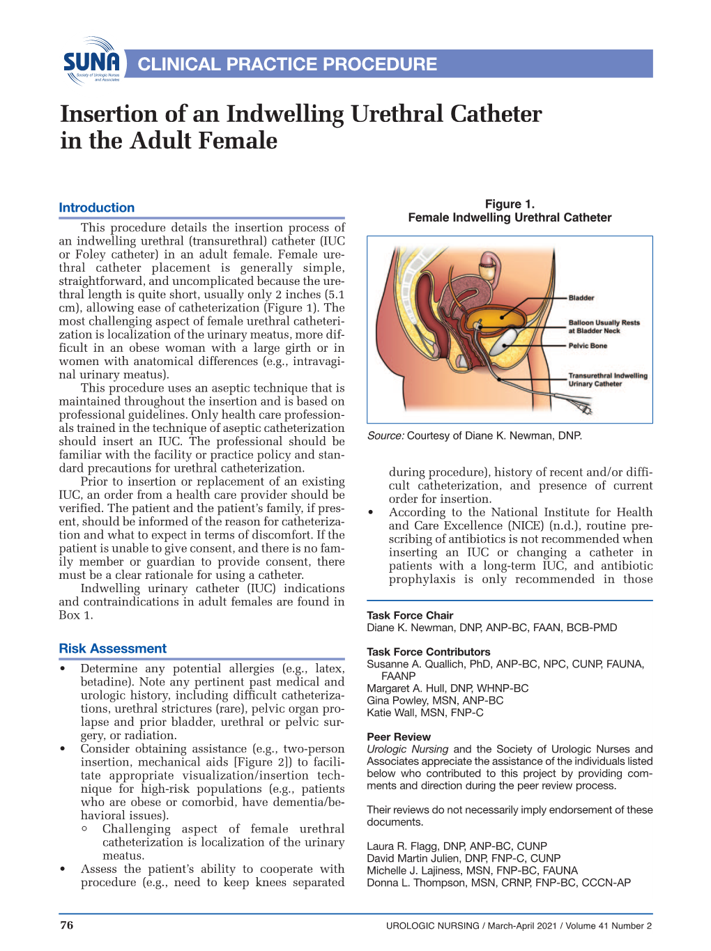 Insertion of an Indwelling Urethral Catheter in the Adult Female