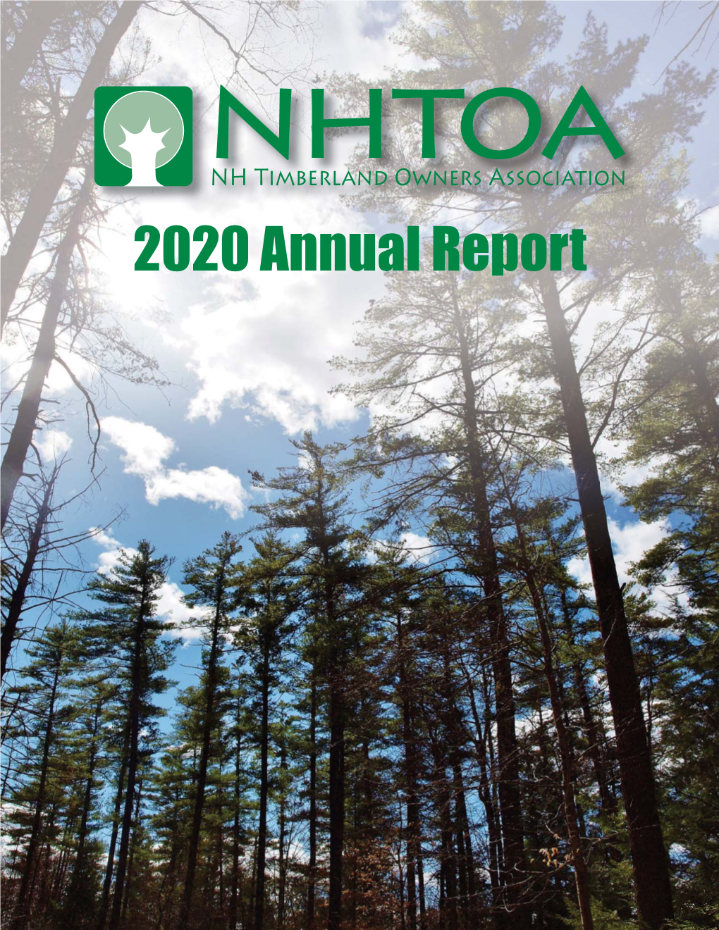 2020 Annual Report About the Cover