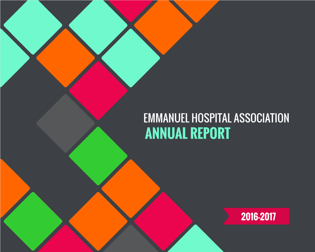 EHA Annual Report 2017