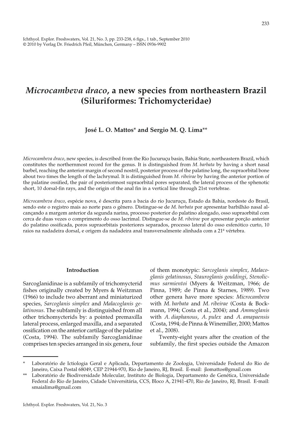Microcambeva Draco , a New Species from Northeastern Brazil (Siluriformes: Trichomycteridae)