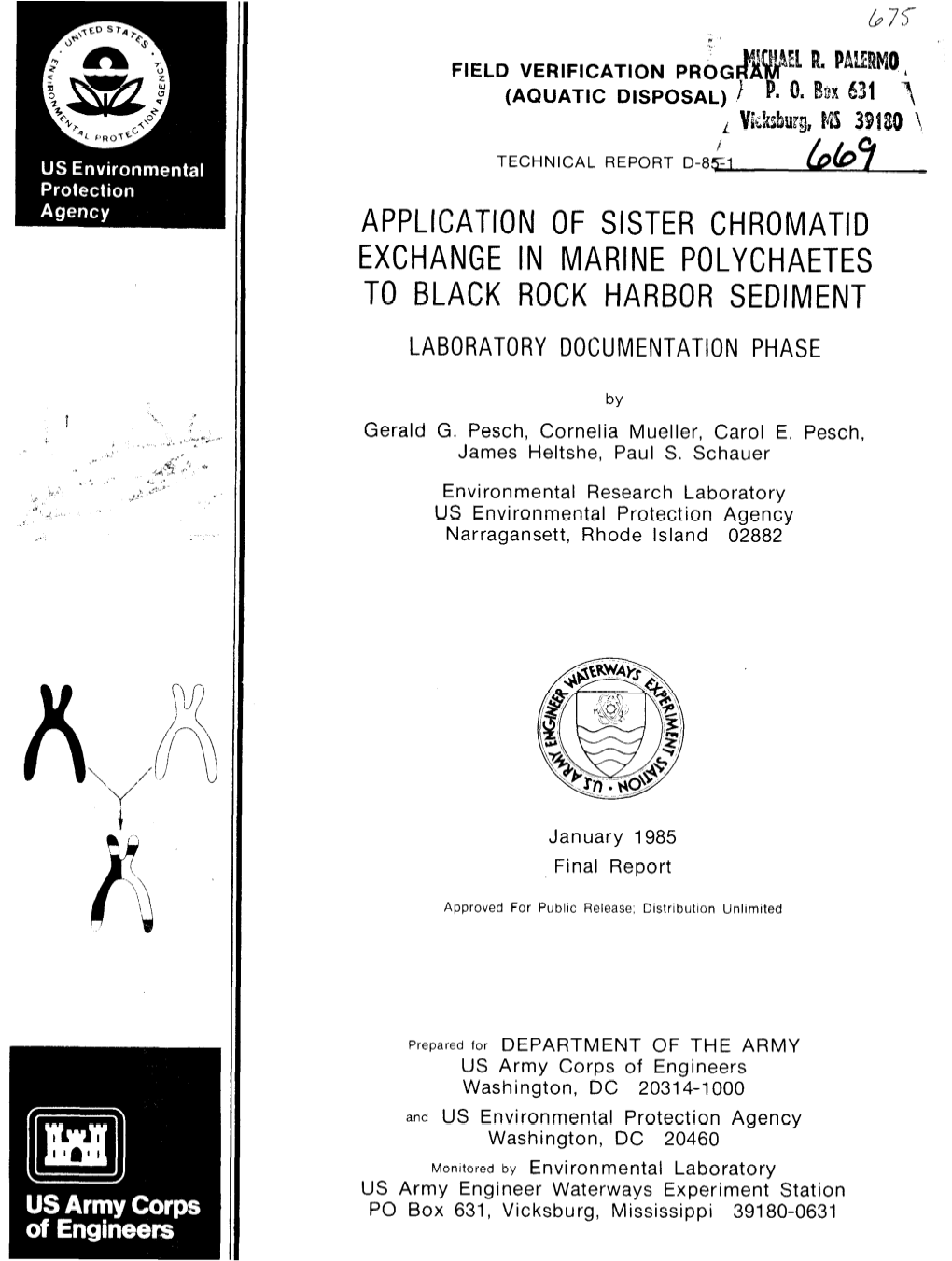 Application of Sister Chromatid Exchange in Marine Polychaetes to Black Rock Harbor Sediment Laboratory Documentation Phase