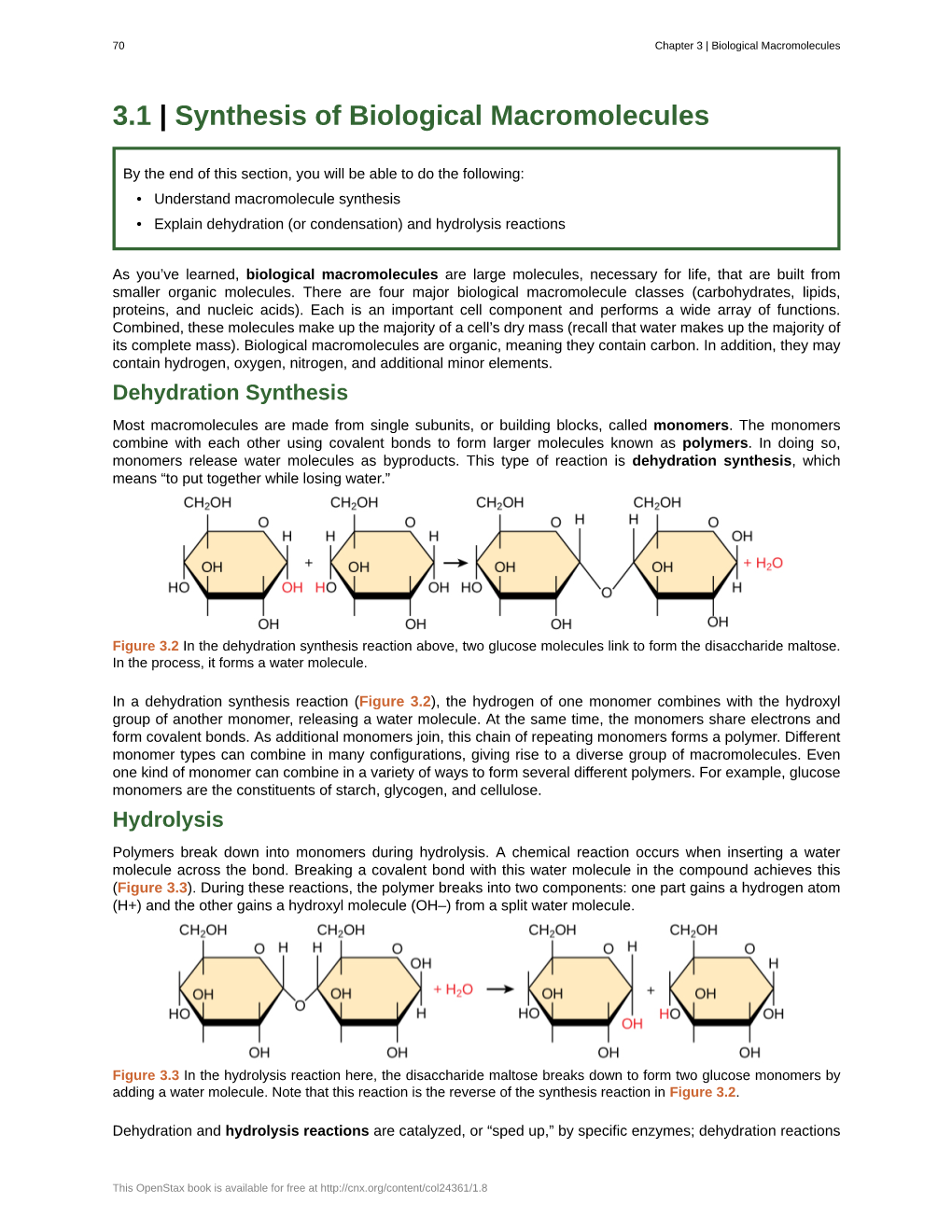 Synthesis of Biological Macromolecules