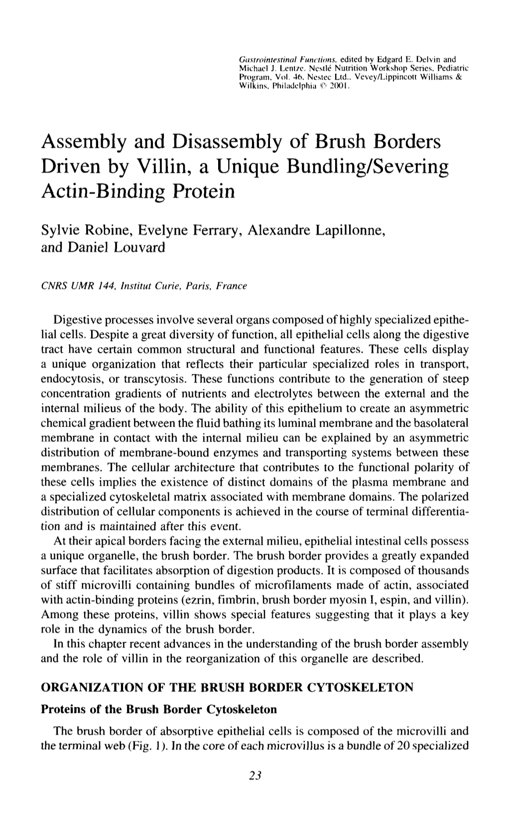 Assembly and Disassembly of Brush Borders Driven by Villin, a Unique Bundling/Severing Actin-Binding Protein