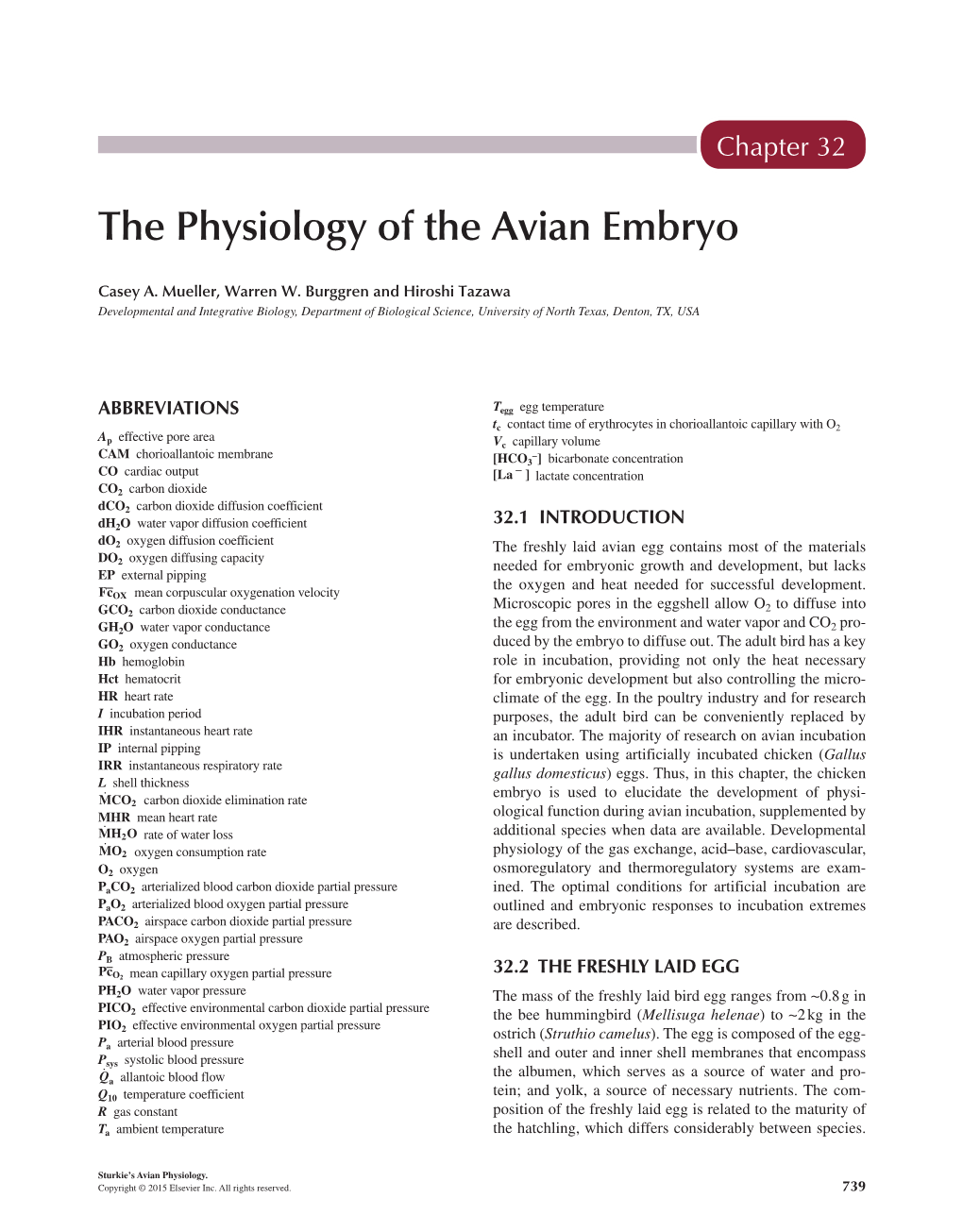 Chapter 32 – the Physiology of the Avian Embryo