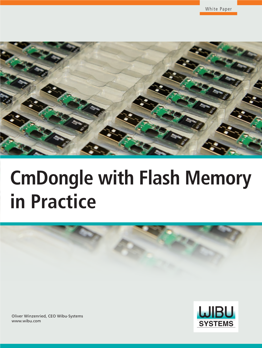 Cmdongle with Flash Memory in Practice