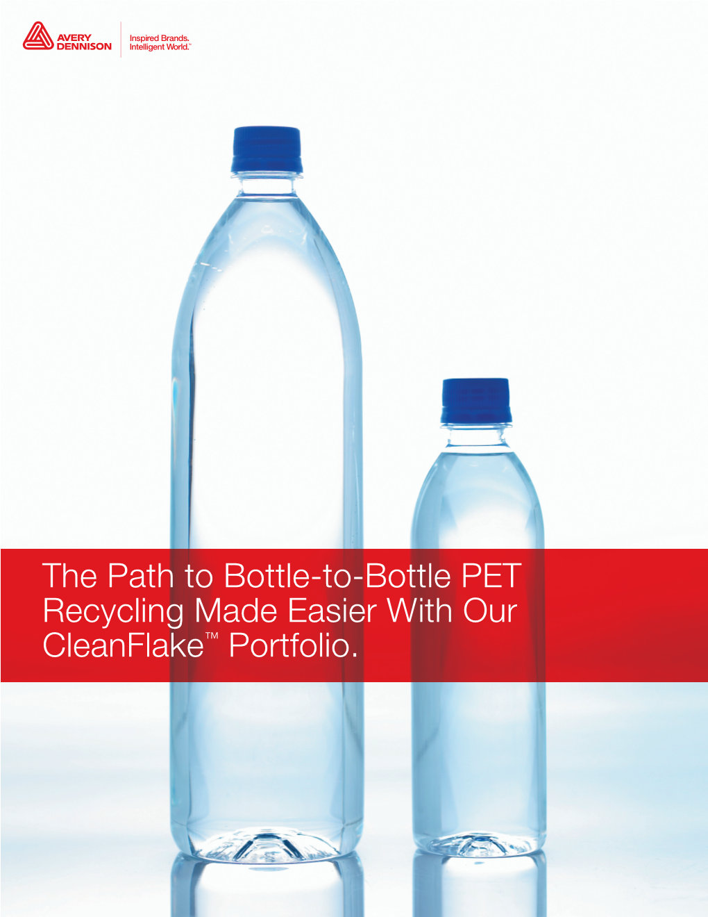 The Path to Bottle-To-Bottle PET Recycling Made Easier with Our Cleanflake™ Portfolio