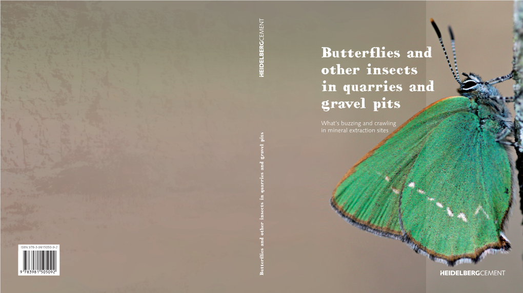 Butterflies and Other Insects in Quarries and Gravel Pits
