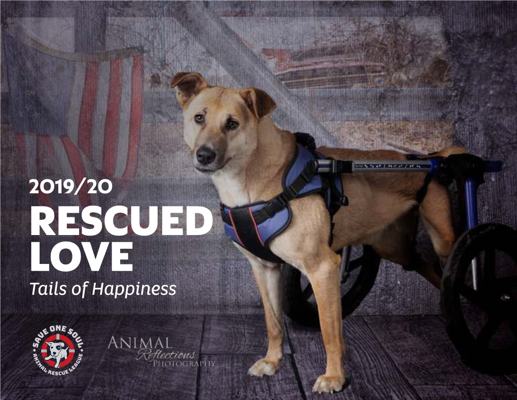 RESCUED LOVE Tails of Happiness SOS 2018 STATS