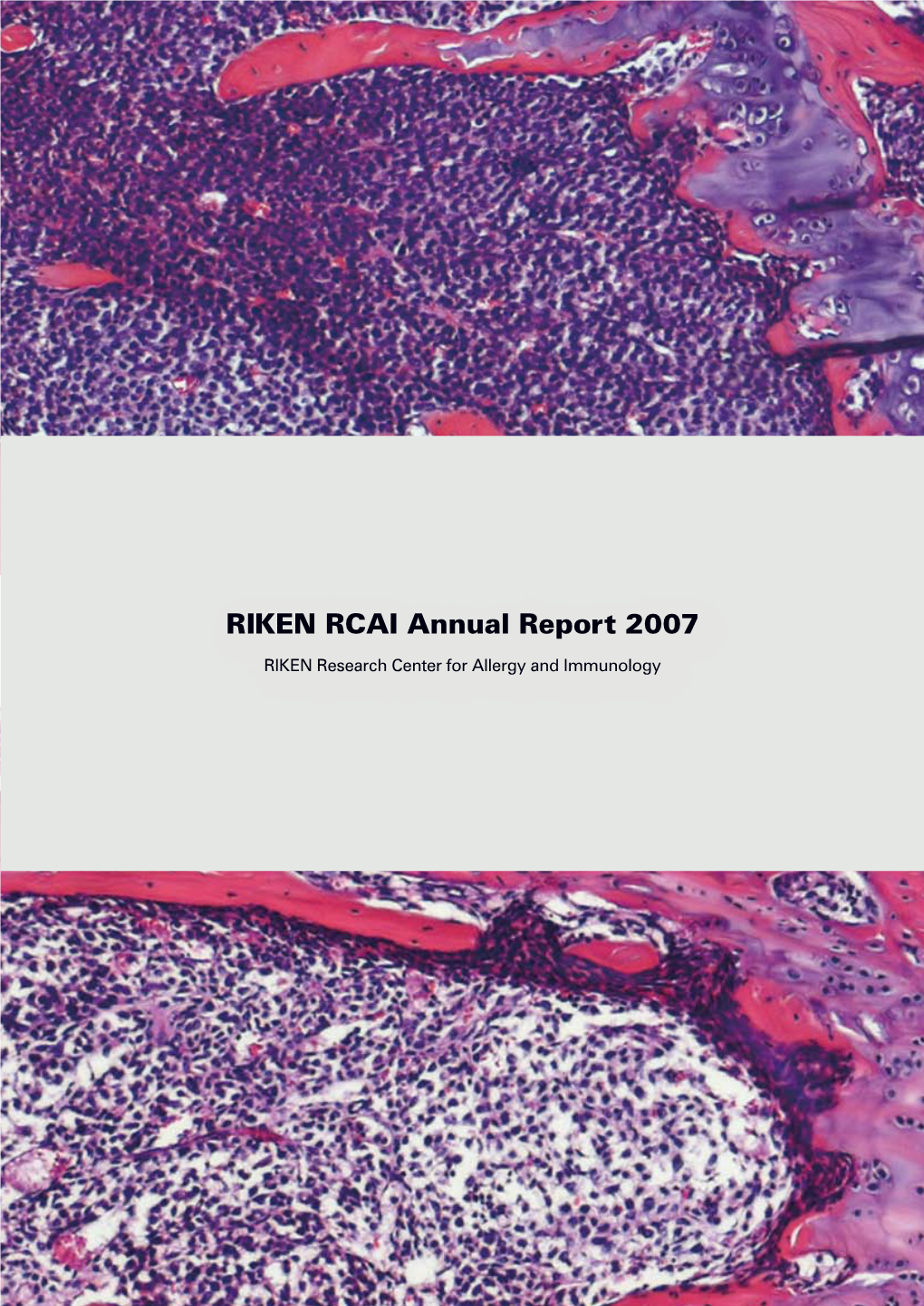 RCAI Annual Report 2007 (PDF 8.5M)