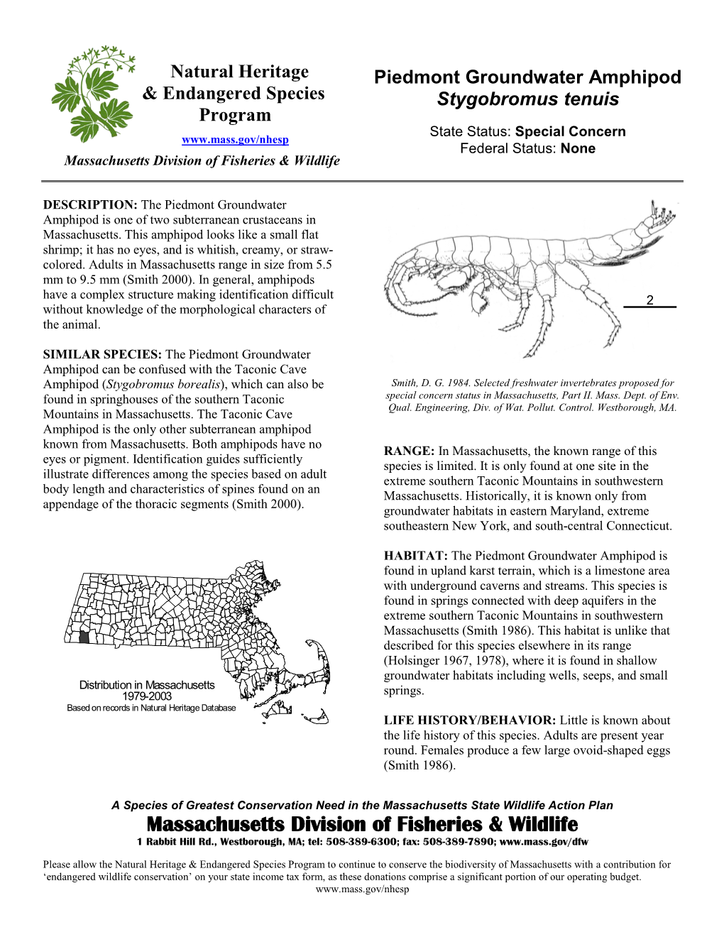 Piedmont Groundwater Amphipod, Stygobromus Tenuis