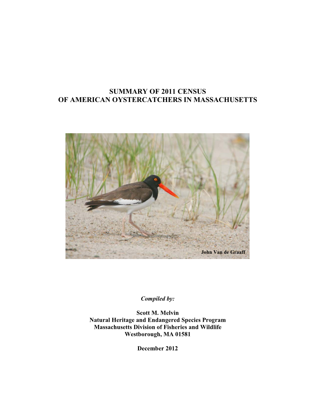 Summary of 2011 Massachusetts American Oystercatcher Census