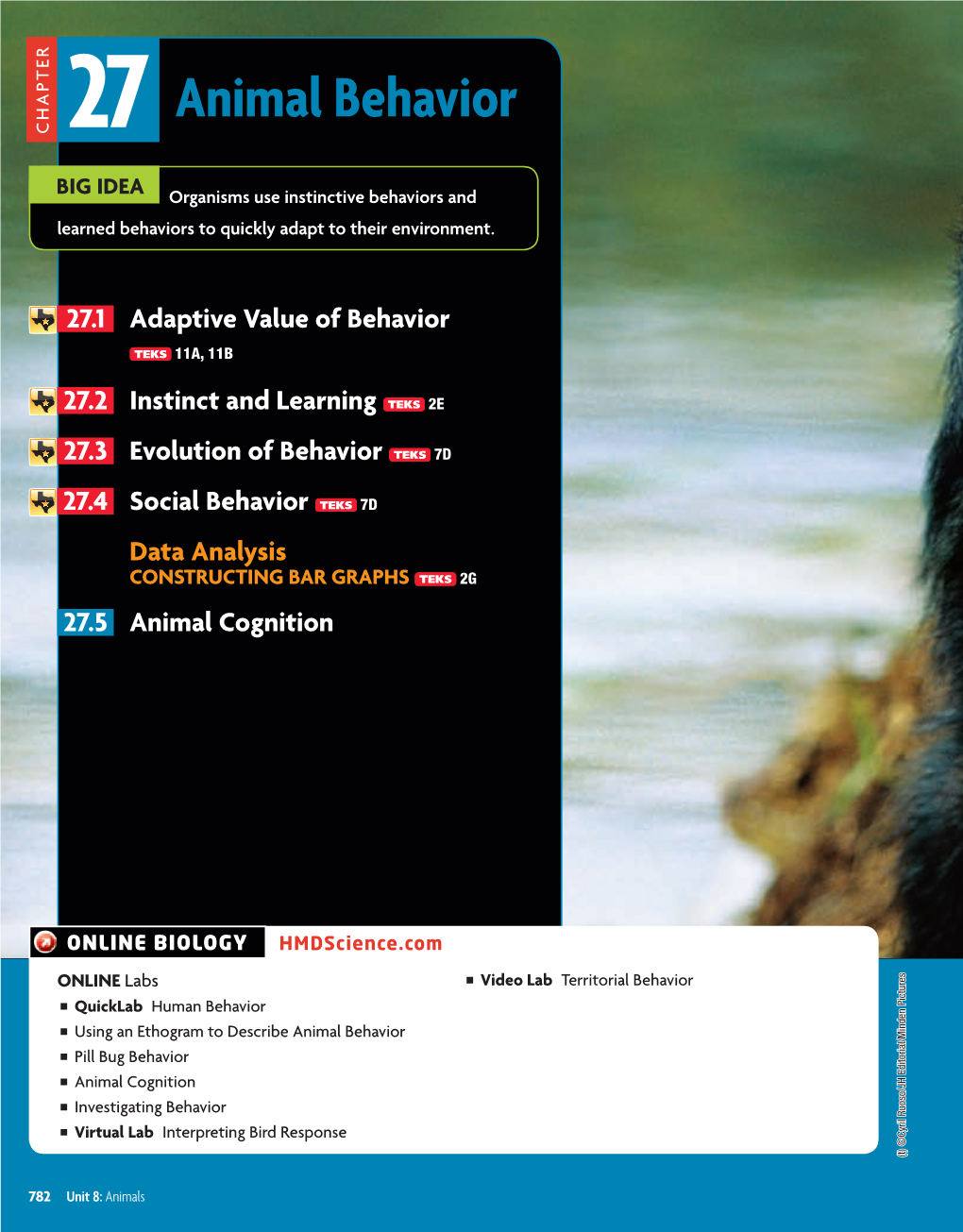 Animal Behavior Quicklab G