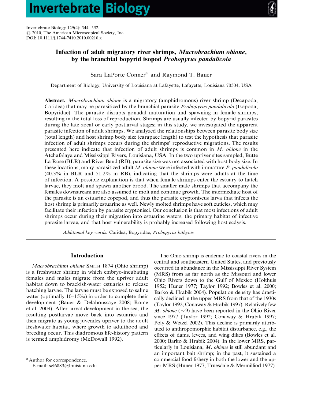 Infection of Adult Migratory River Shrimps, Macrobrachium Ohione, by the Branchial Bopyrid Isopod Probopyrus Pandalicola