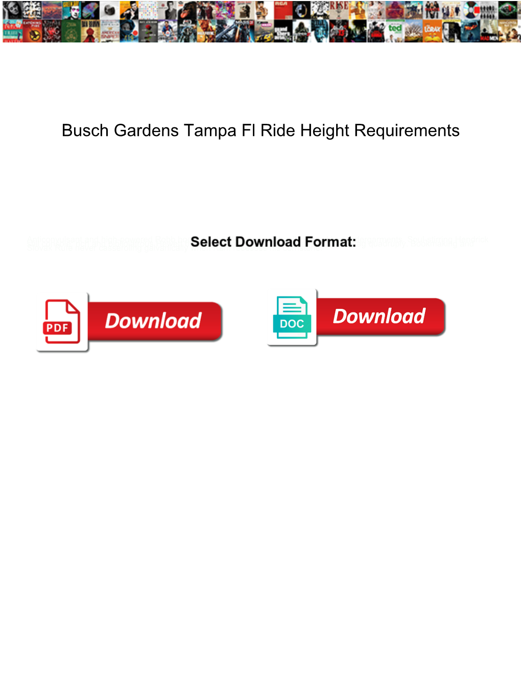 Busch Gardens Tampa Fl Ride Height Requirements