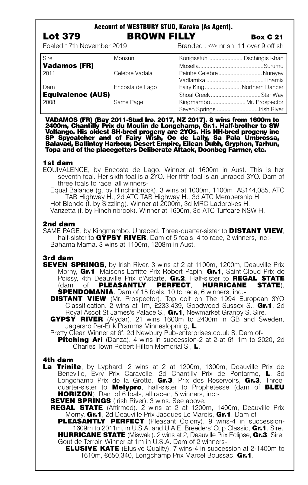 Lot 379 BROWN FILLY Box C 21 Foaled 17Th November 2019 Branded : Nr Sh; 11 Over 9 Off Sh