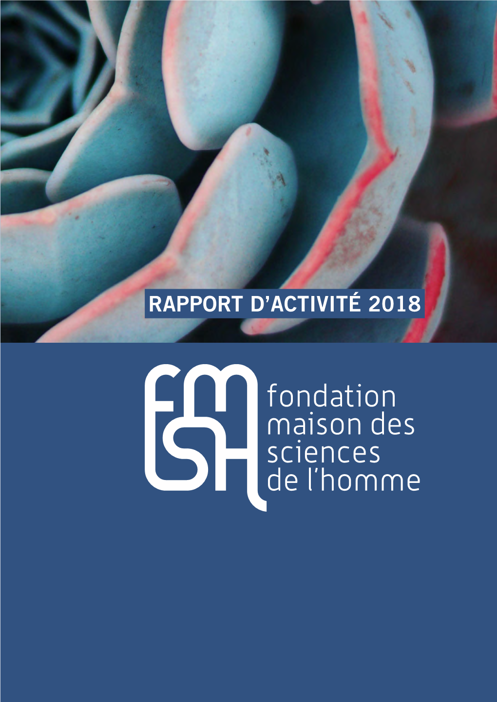 Rapport D'activité 2018