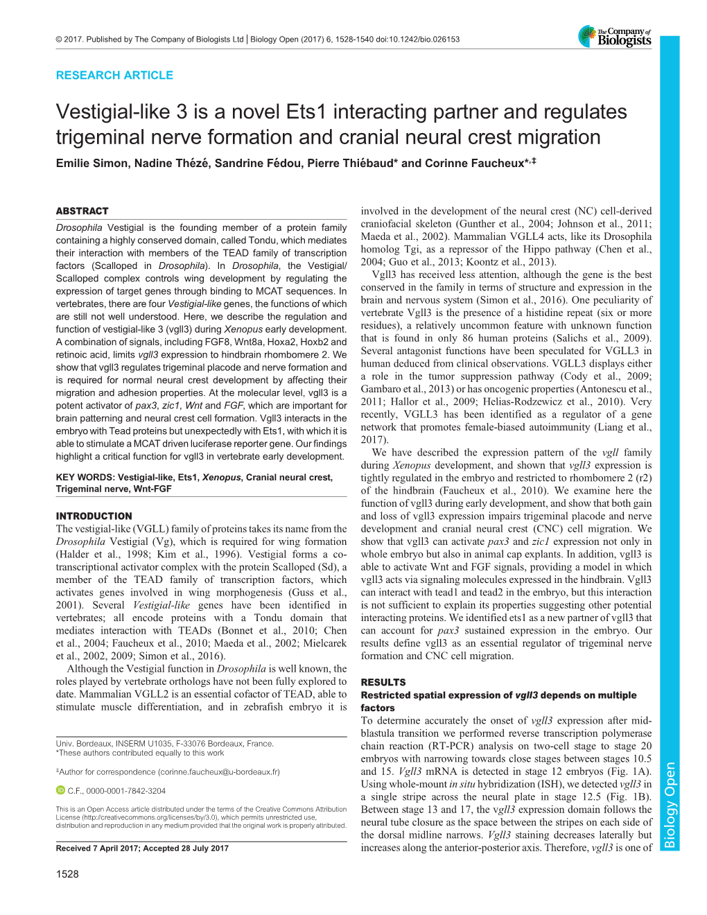 Vestigial-Like 3 Is a Novel Ets1 Interacting Partner and Regulates Trigeminal Nerve Formation and Cranial Neural Crest Migration