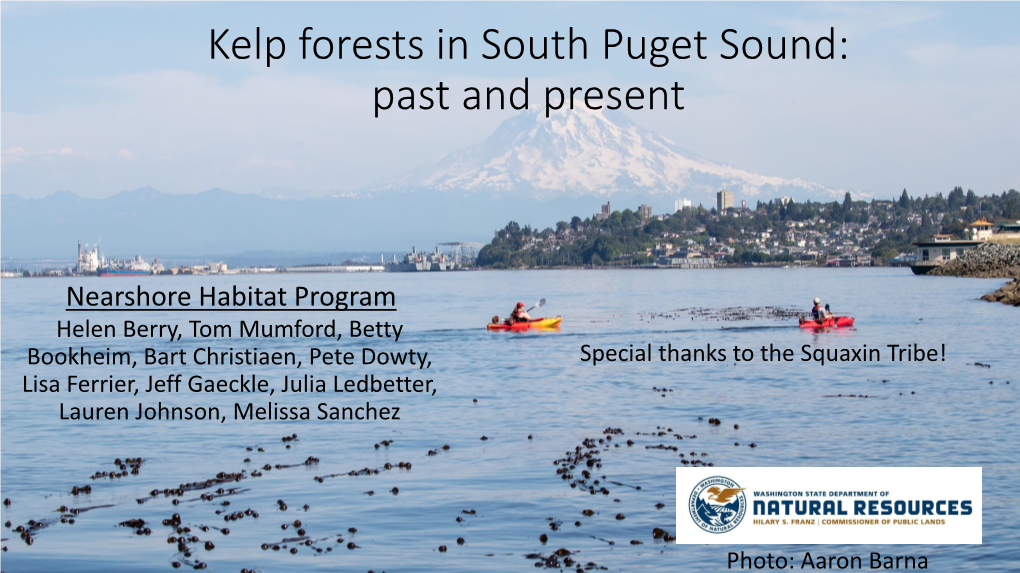 Kelp Forests in South Puget Sound: Past and Present