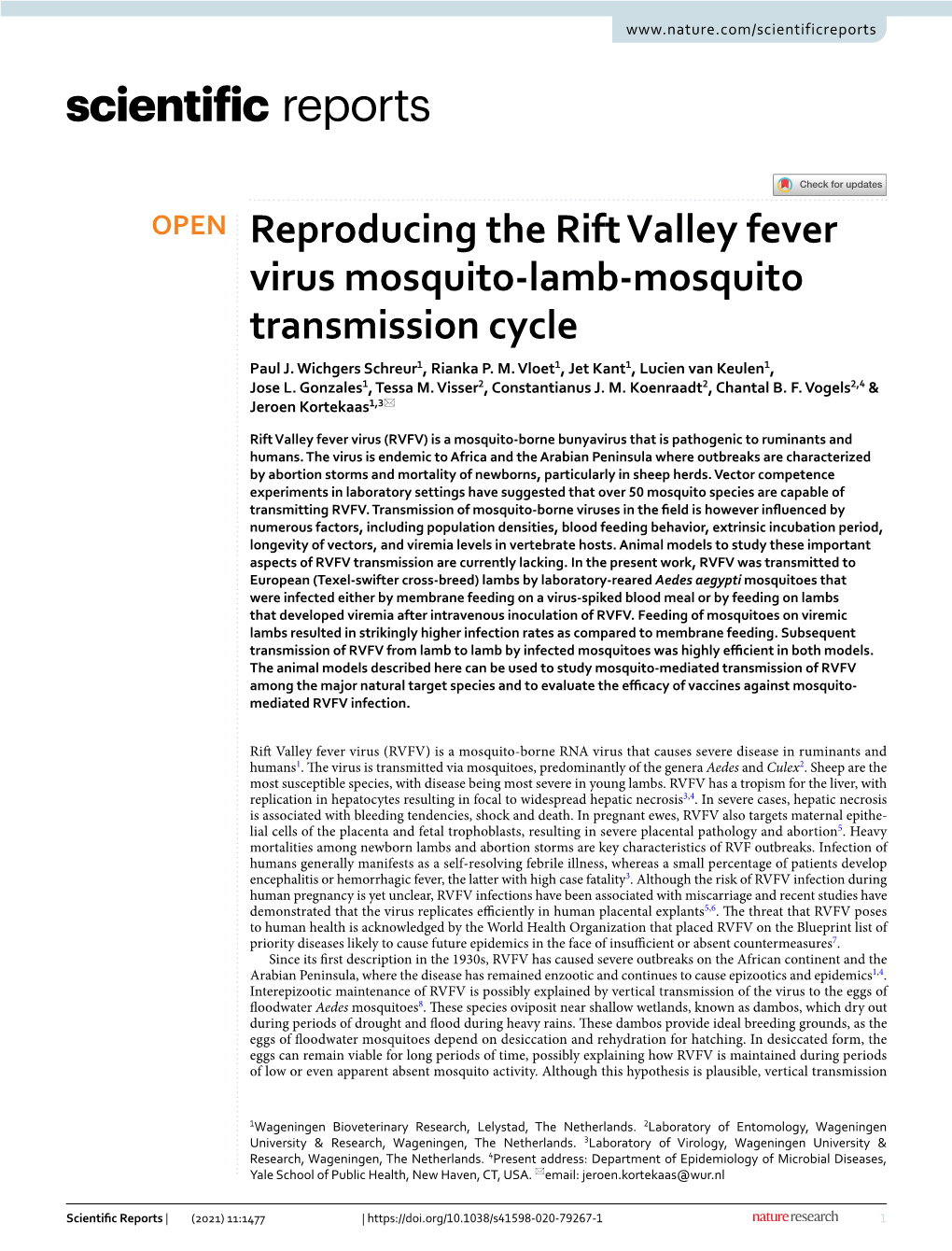 Reproducing the Rift Valley Fever Virus Mosquito-Lamb-Mosquito