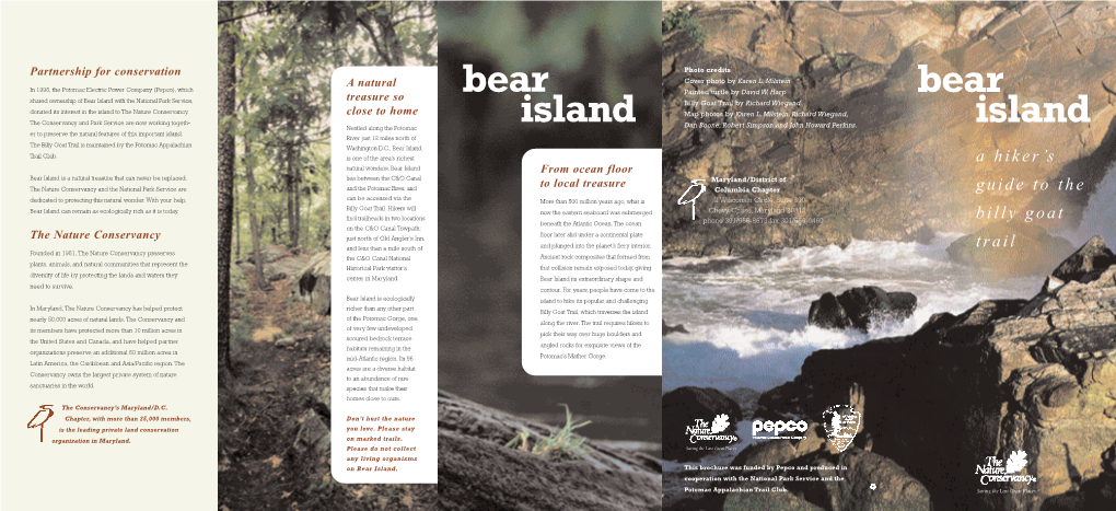 Bear Island Brochure