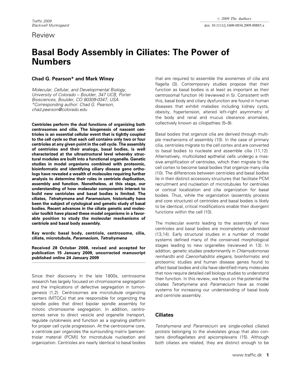 Basal Body Assembly in Ciliates: the Power of Numbers