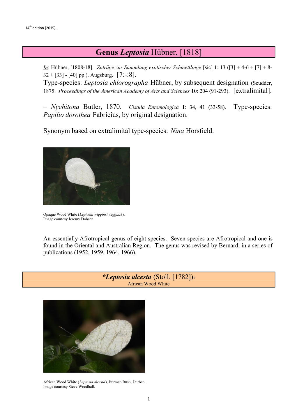 035 Genus Leptosia Huebner
