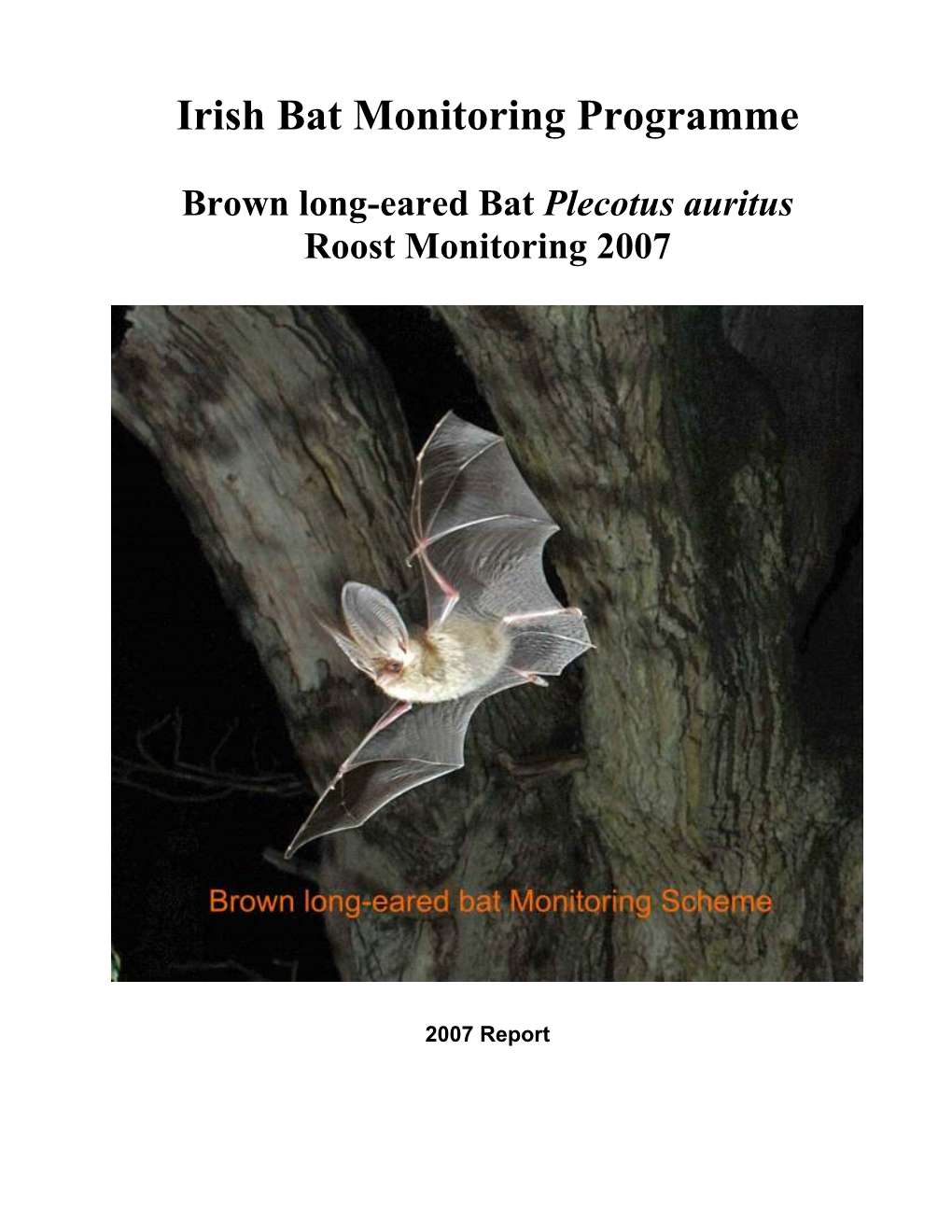 Report on Brown Long-Eared Bat Roost Monitoring Pilot Study 2007