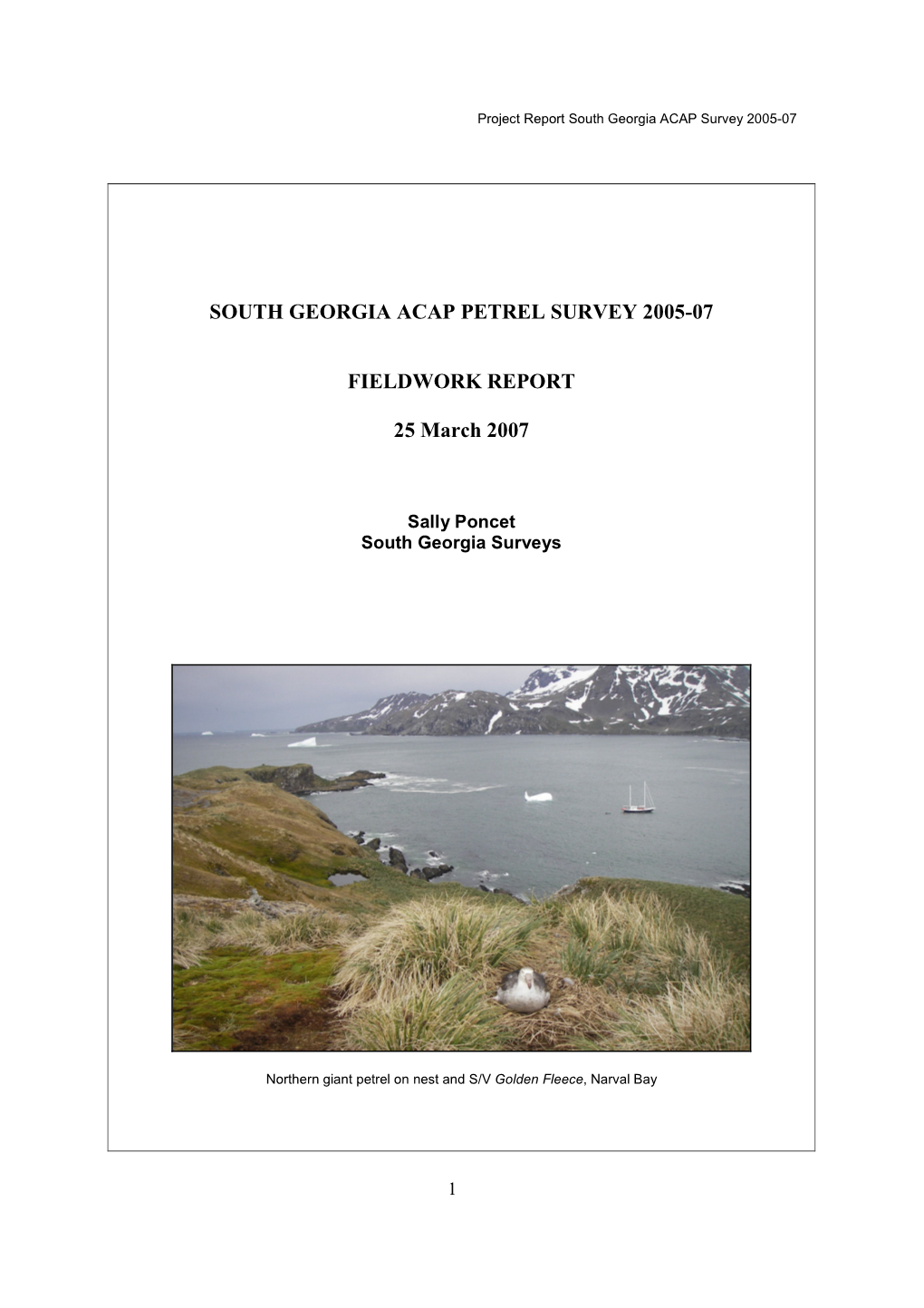 South Georgia Acap Petrel Survey 2005-07 Fieldwork