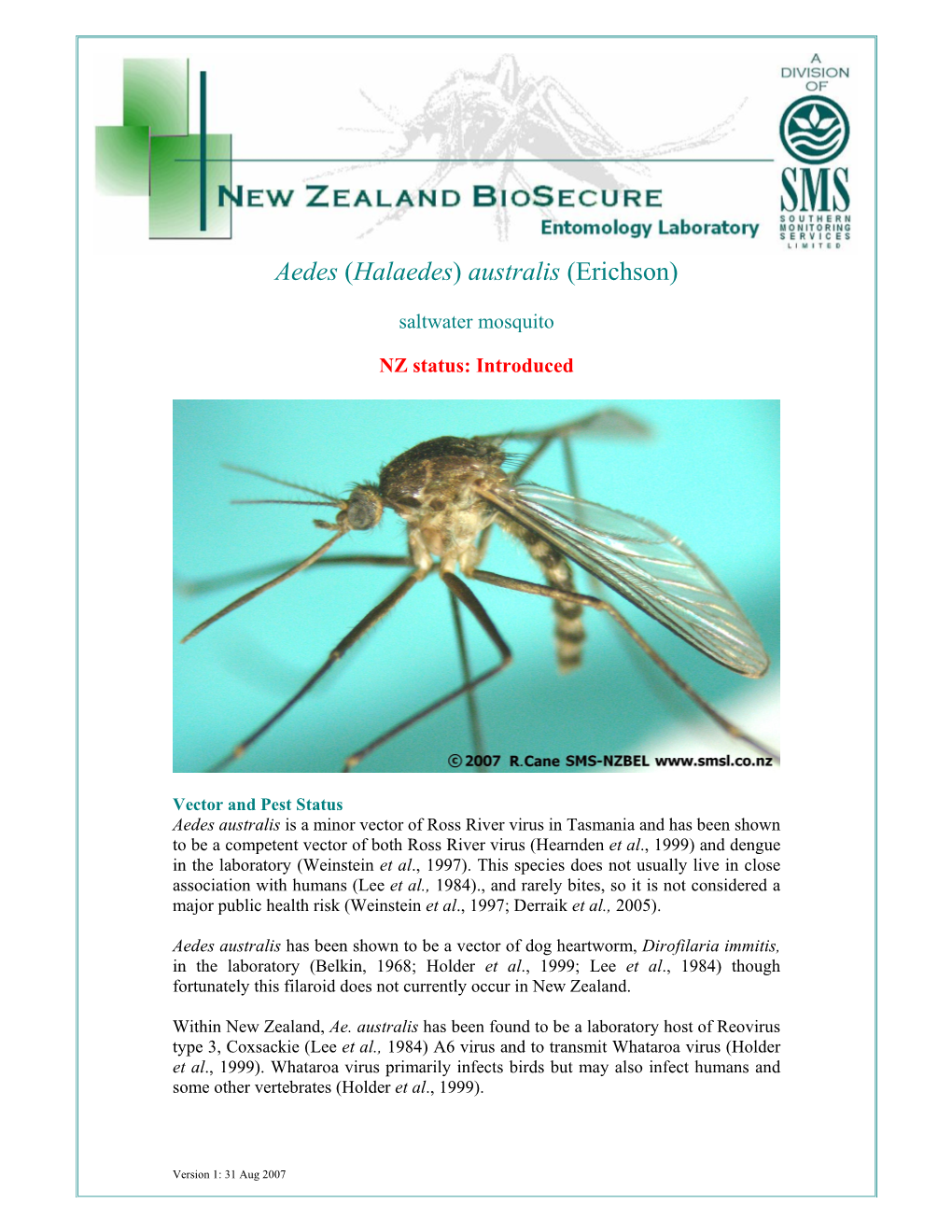 Aedes (Halaedes) Australis(Erichson)