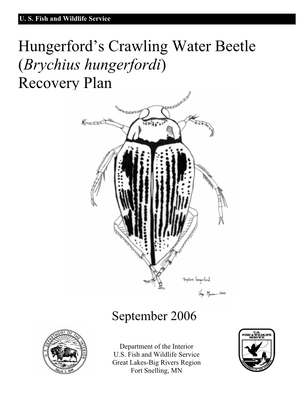 Hungerford's Crawling Water Beetle (Brychius Hungerfordi)