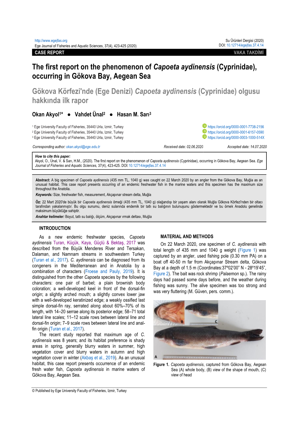The First Report on the Phenomenon of Capoeta Aydinensis (Cyprinidae
