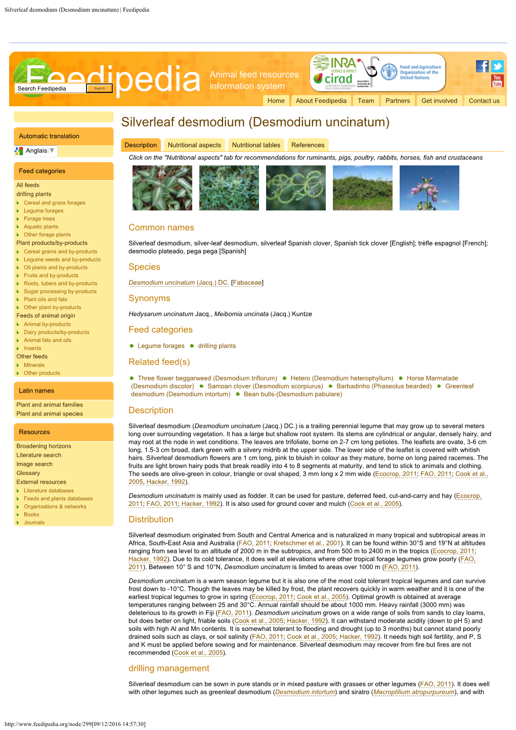 Desmodium Uncinatum) | Feedipedia