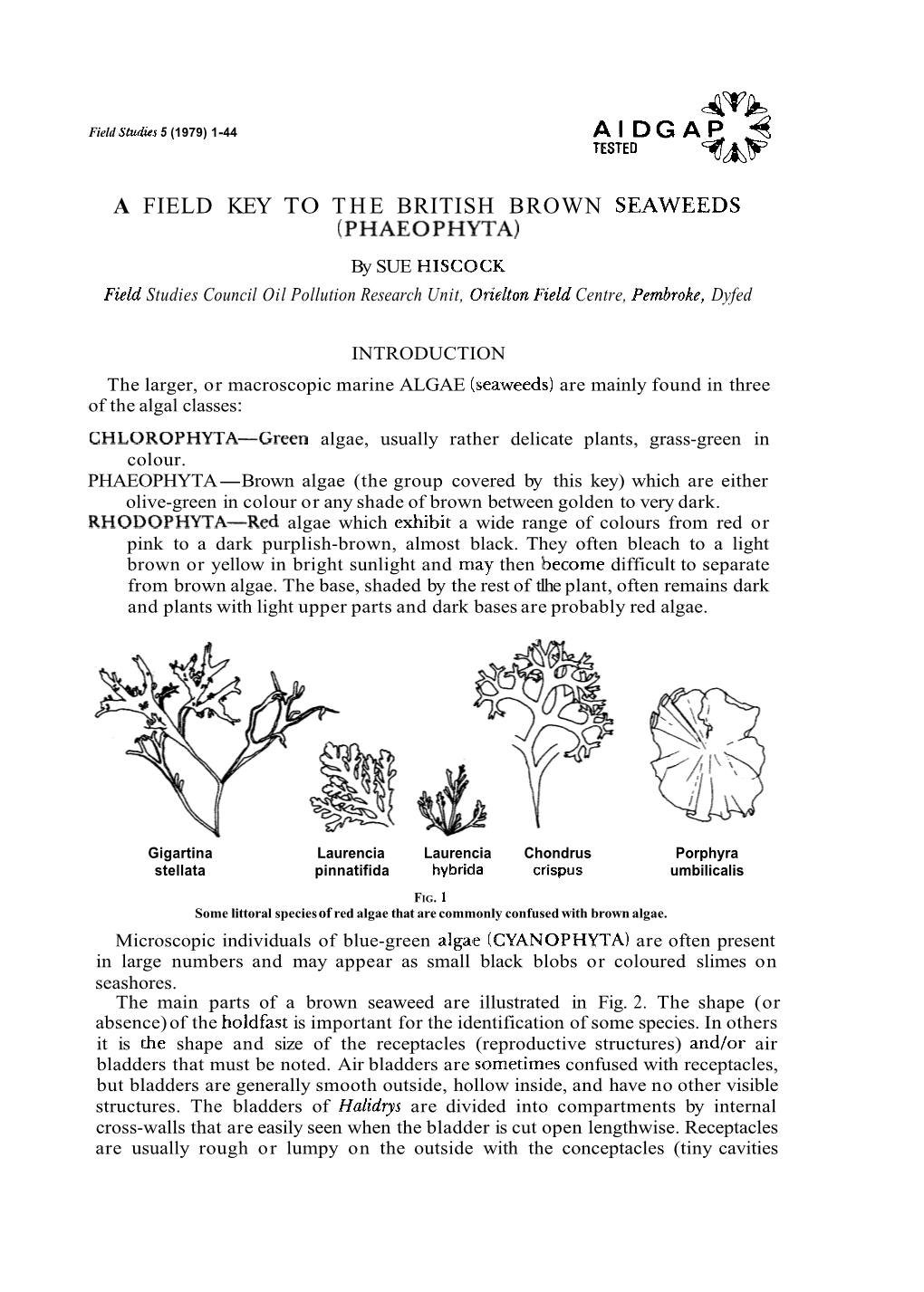 A Field Key to the British Brown Seaweed!; (Phaeophyta) 7 Scotland and Ireland