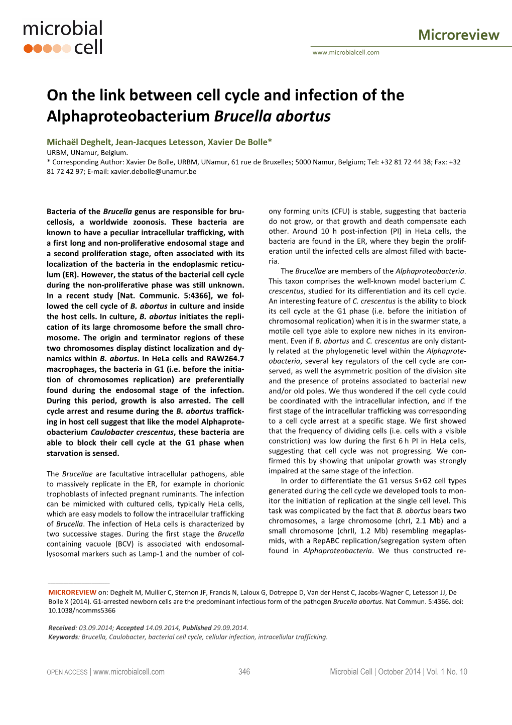 On the Link Between Cell Cycle and Infection of the Alphaproteobacterium Brucella Abortus