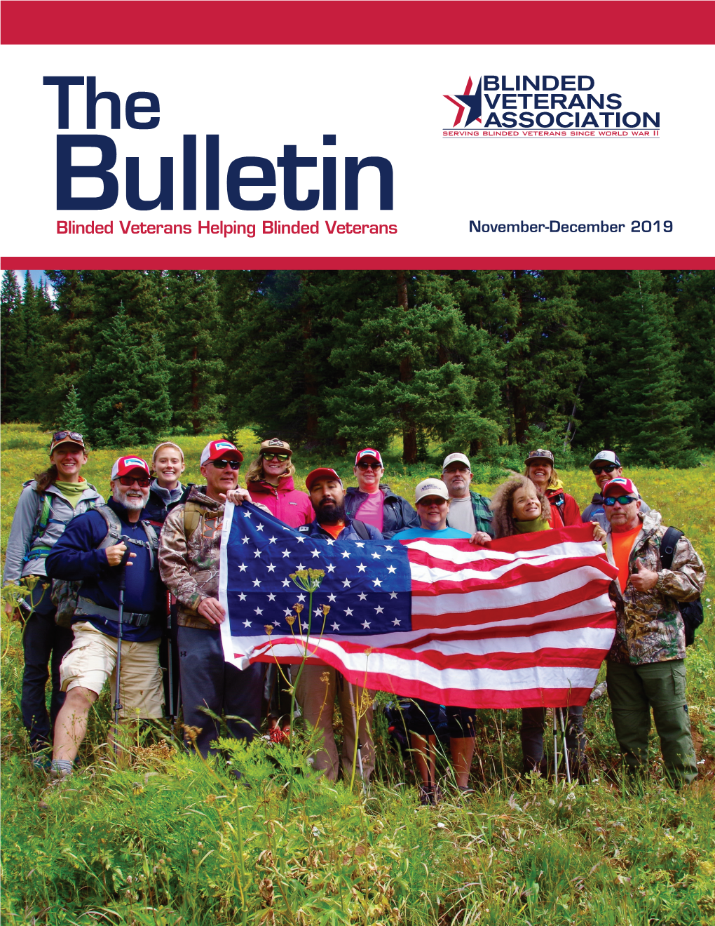 BVA Bulletin Nov Dec 2019.Indd